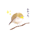 Lineスタンプ 丸い手描き鳥 8種類 1円