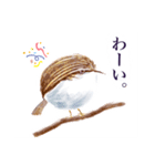 Lineスタンプ 丸い手描き鳥 8種類 1円