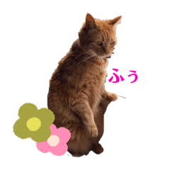 Lineスタンプ デブ猫の1日 16種類 1円