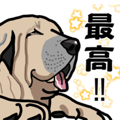 大きな犬 大型犬 スパニッシュマスティフ Lineスタンプ I Noss