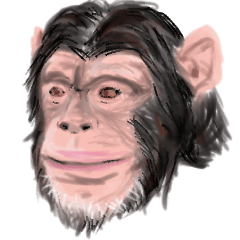 Lineスタンプ チンパンジー の完全一覧 全109種類