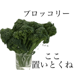 Lineスタンプ 友達に送る癒しの花と野菜のスタンプ 8種類 1円