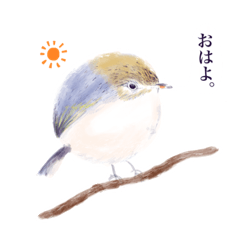 Lineスタンプ 丸い手描き鳥 8種類 1円