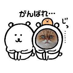 ちんちらーず Lineスタンプ Sakurako