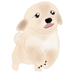 Lineスタンプ ほっこりリアル犬 ゴールデンレトリバー 24種類 1円