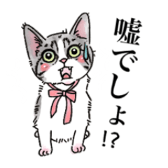 Lineスタンプ にゃ ネコ の完全一覧 全1000種類