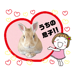 Lineスタンプ うさぎのうさちゃん フレームスタンプ 8種類 1円